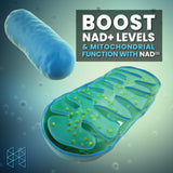 NAD3 NAD+ Booster | 2 Month Supply  - 120 Capsules