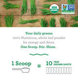 Amazing Grass Organic Wheat Grass: Energy/Detox Powder | Wheat