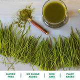 Amazing Grass Organic Wheat Grass: Energy/Detox Powder | Wheat